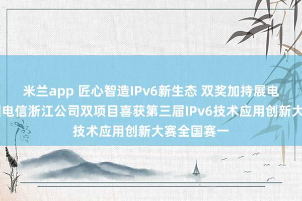 米兰app 匠心智造IPv6新生态 双奖加持展电信担当 中国电信浙江公司双项目喜获第三届IPv6技术应用创新大赛全国赛一