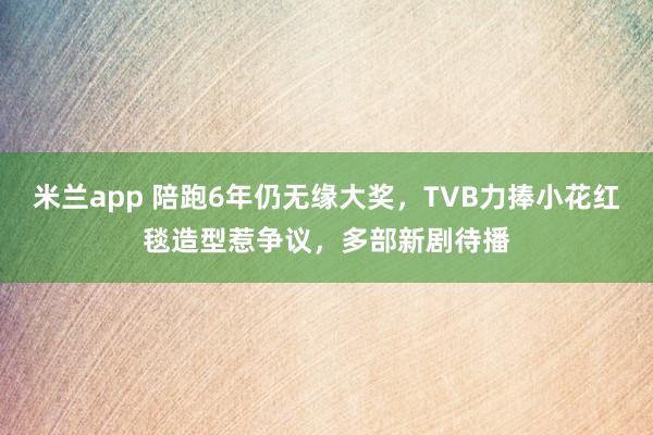 米兰app 陪跑6年仍无缘大奖，TVB力捧小花红毯造型惹争议，多部新剧待播