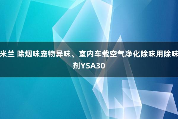 米兰 除烟味宠物异味、室内车载空气净化除味用除味剂YSA30