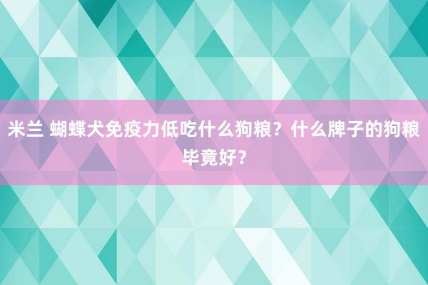 米兰 蝴蝶犬免疫力低吃什么狗粮？什么牌子的狗粮毕竟好？