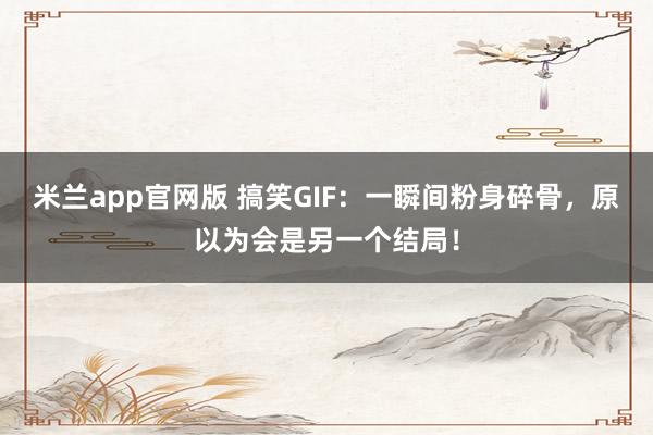 米兰app官网版 搞笑GIF：一瞬间粉身碎骨，原以为会是另一个结局！