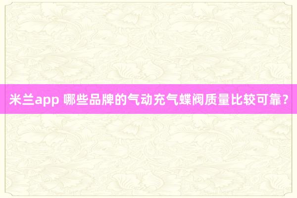 米兰app 哪些品牌的气动充气蝶阀质量比较可靠？