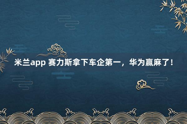 米兰app 赛力斯拿下车企第一,华为赢麻了!