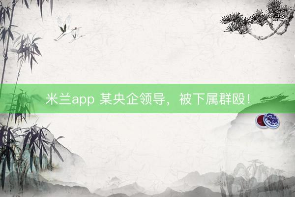 米兰app 某央企领导，被下属群殴！