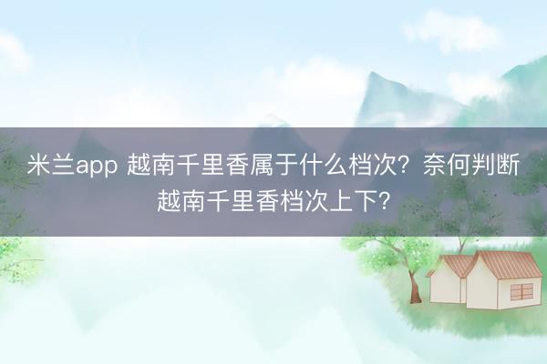 米兰app 越南千里香属于什么档次？奈何判断越南千里香档次上下？