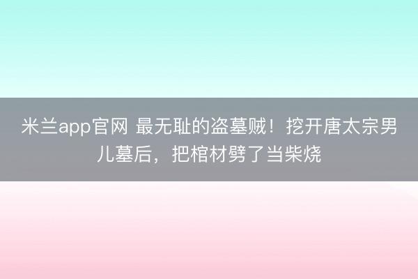 米兰app官网 最无耻的盗墓贼！挖开唐太宗男儿墓后，把棺材劈了当柴烧