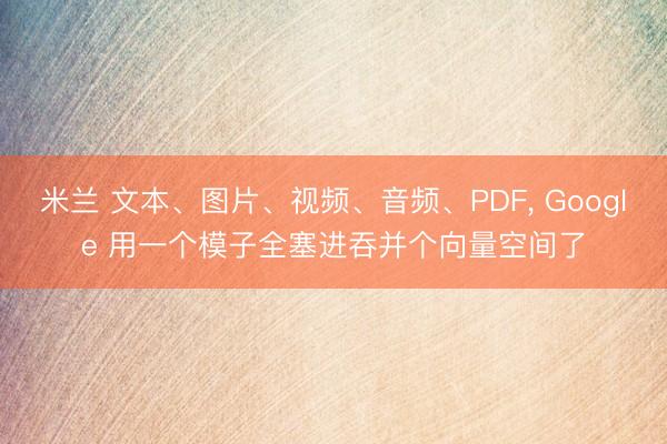 米兰 文本、图片、视频、音频、PDF， Google 用一个模子全塞进吞并个向量空间了