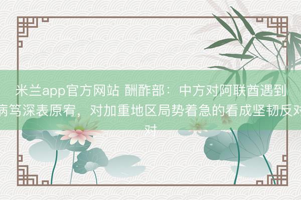 米兰app官方网站 酬酢部：中方对阿联酋遇到病笃深表原宥，对加重地区局势着急的看成坚韧反对