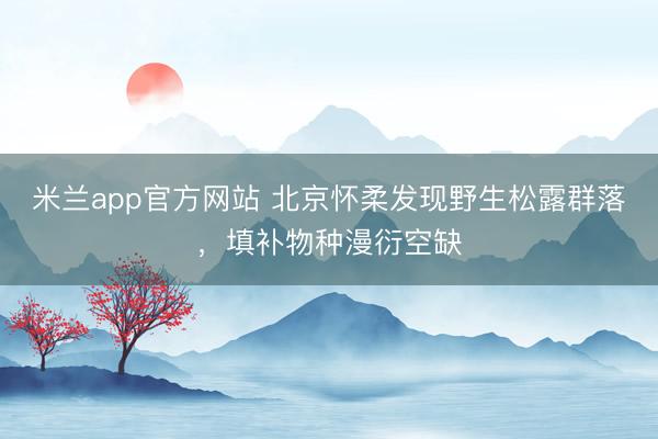 米兰app官方网站 北京怀柔发现野生松露群落,填补物种漫衍空缺