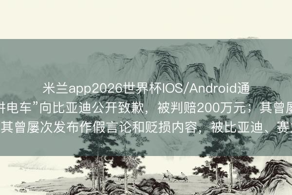 米兰app2026世界杯IOS/Android通用手机版下载 博主“龙哥讲电车”向比亚迪公开致歉，被判赔200万元；其曾屡次发布作假言论和贬损内容，被比亚迪、赛力斯、小鹏接连告状