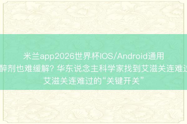米兰app2026世界杯IOS/Android通用手机版下载 麻醉剂也难缓解? 华东说念主科学家找到艾滋关连难过的“关键开关”