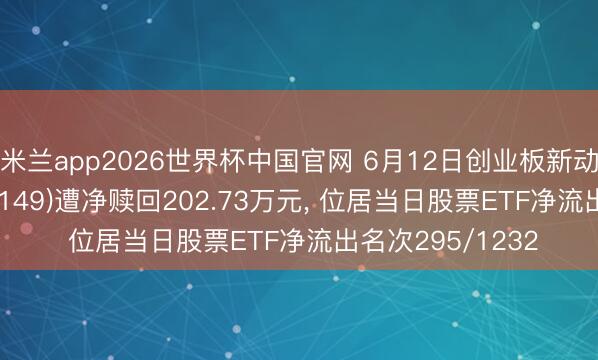 米兰app2026世界杯中国官网 6月12日创业板新动力ETF工银(159149)遭净赎回202.73万元, 位居当日股票ETF净流出名次295/1232